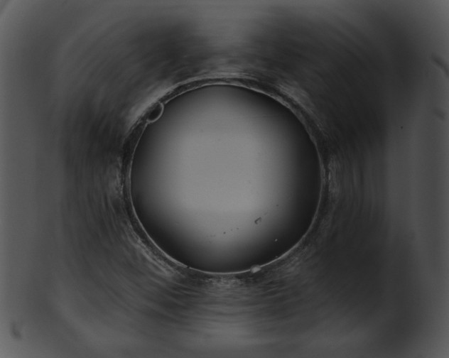 X0000101451452200807141233