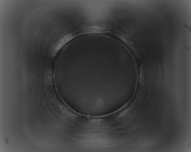 X0000101451453200807141233