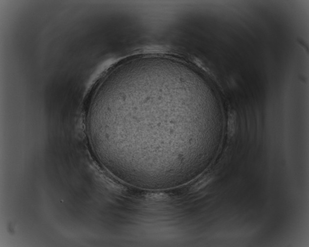 X0000101451454200807141233