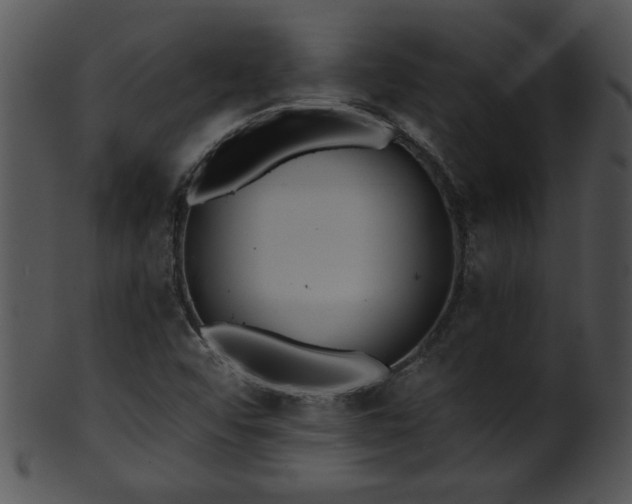 X0000101451456200807141233