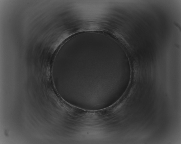 X0000101451457200807141233