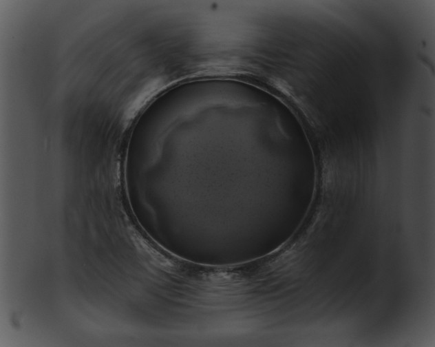 X0000101451459200807141233