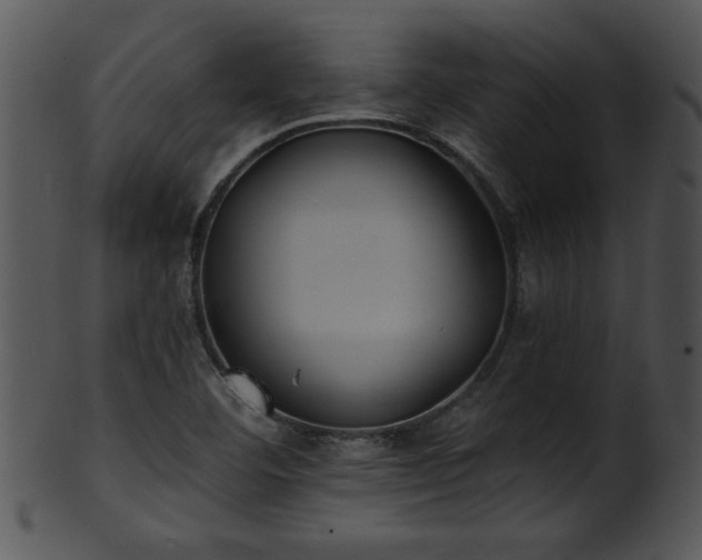 X0000101451460200807141233