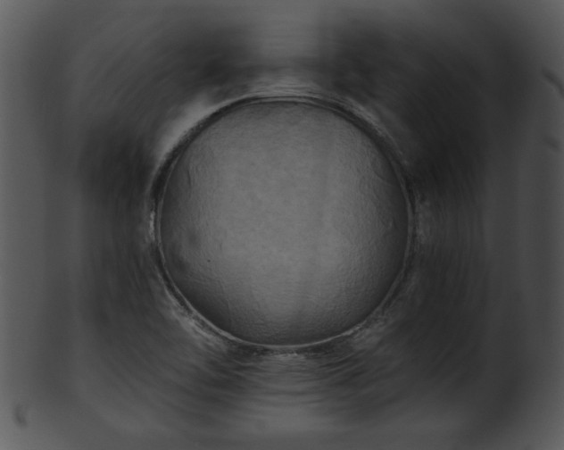 X0000101451462200807141233