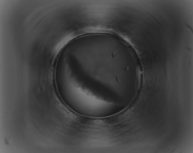 X0000101451463200807141233