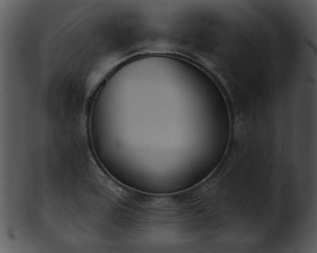 X0000101451464200807141233