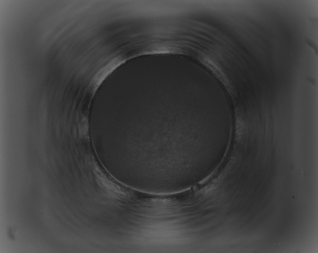 X0000101451465200807141233