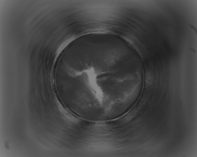 X0000101451466200807141233