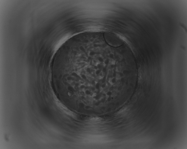 X0000101451467200807141233