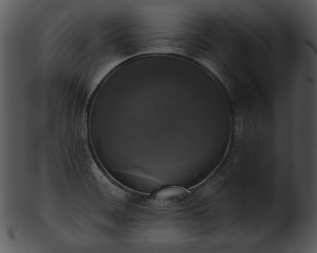 X0000101451468200807141232