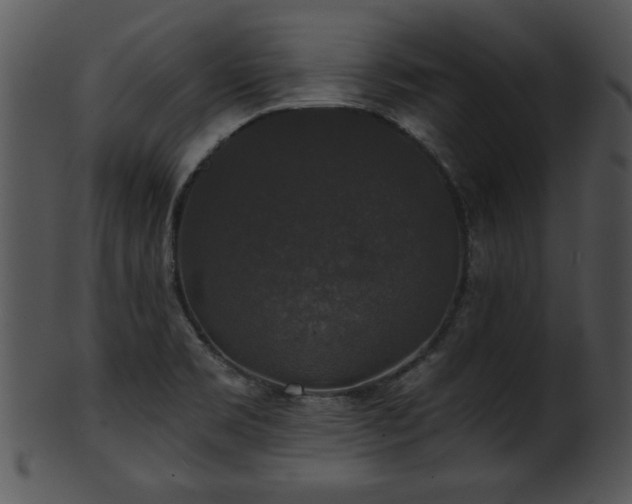 X0000101451469200807141232