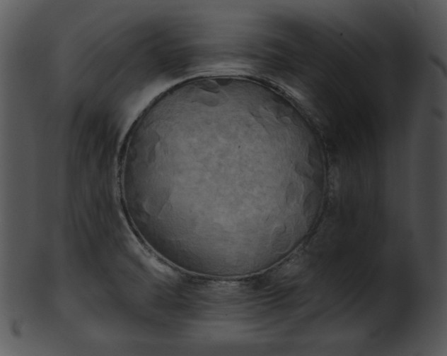 X0000101451470200807141232