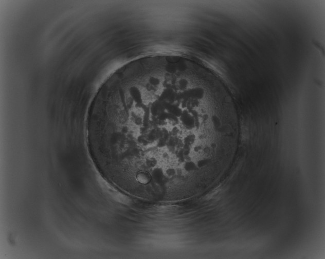 X0000101451471200807141232