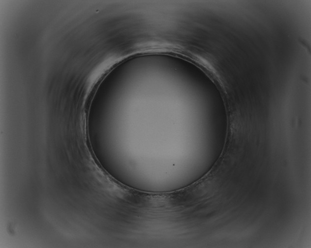 X0000101451472200807141232