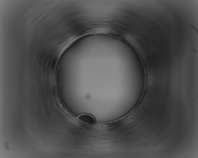 X0000101451473200807141232