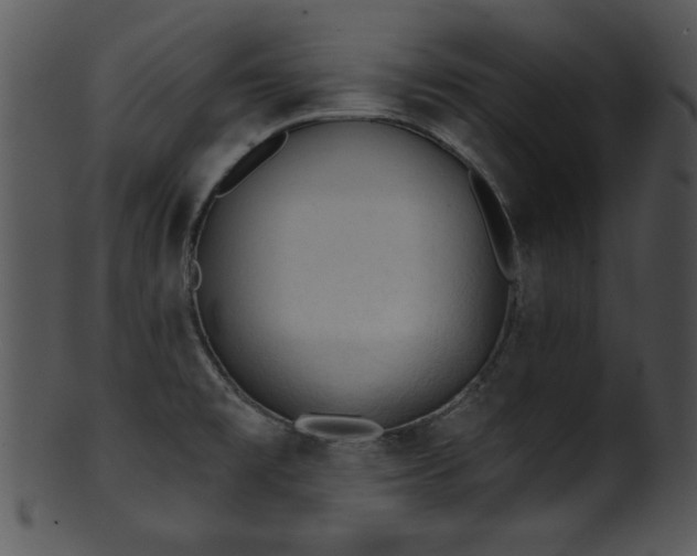 X0000101451477200807141232