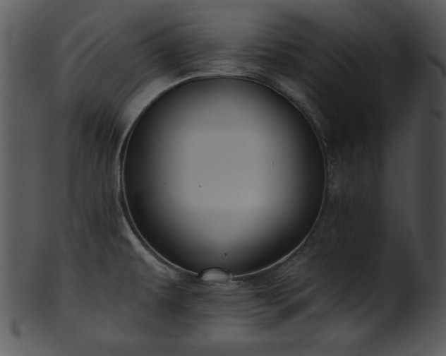 X0000101451479200807141232