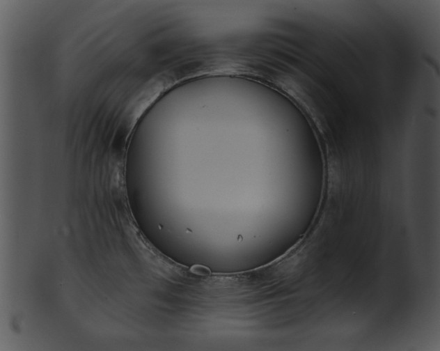 X0000101451481200807141232