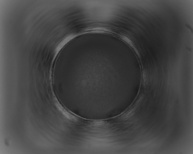 X0000101451482200807141232