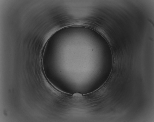 X0000101451483200807141232