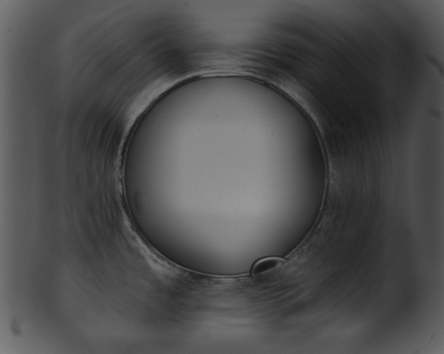 X0000101451485200807141232