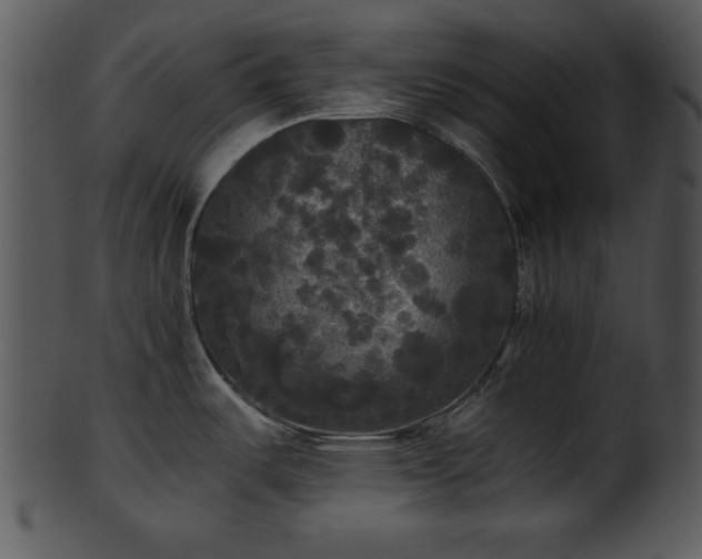 X0000101451487200807141232