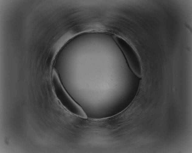 X0000101451488200807141232