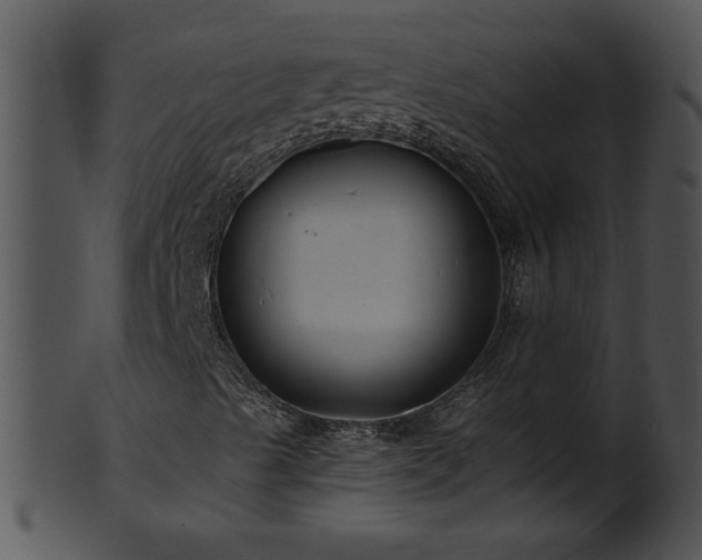 X0000101451489200807141231