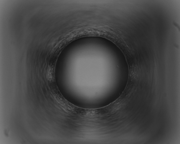 X0000101451490200807141231