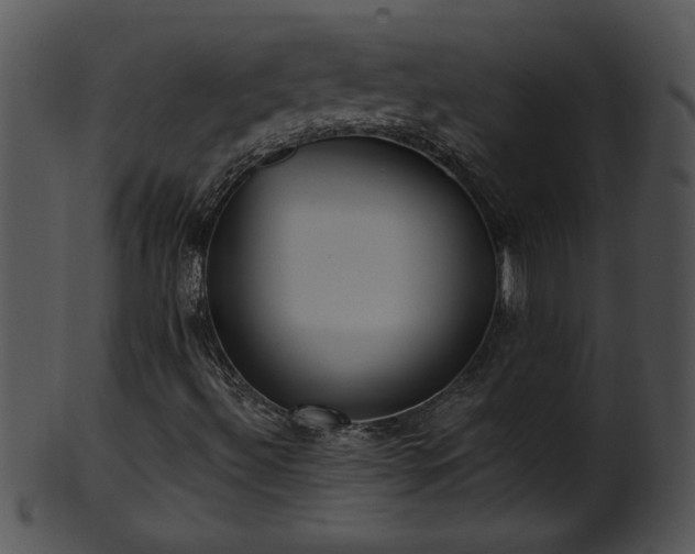 X0000101451492200807141231