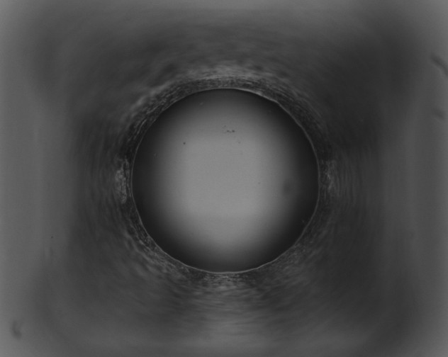 X0000101451493200807141231