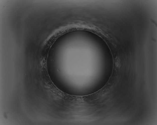 X0000101451495200807141231