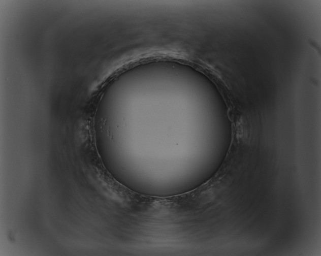 X0000101451496200807141231