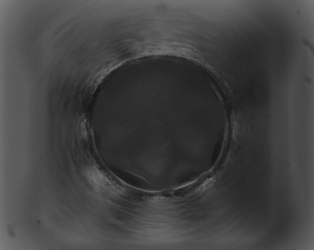 X0000101451497200807141231