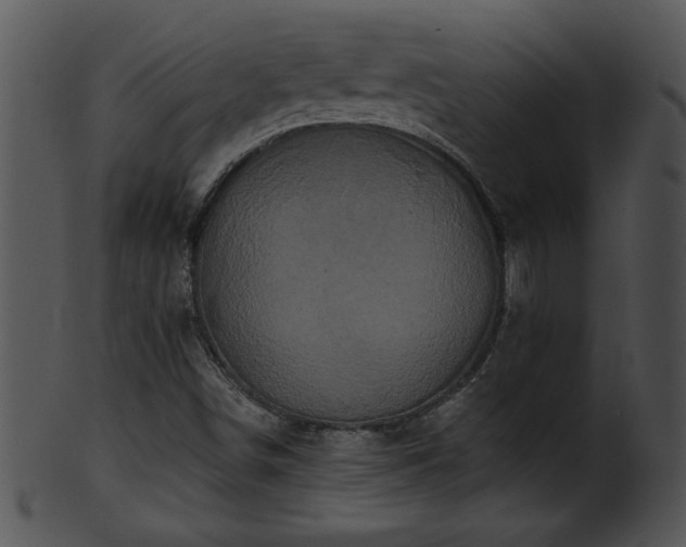 X0000101451498200807141231