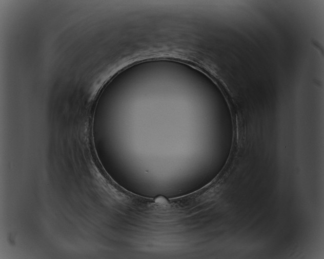 X0000101451500200807141232