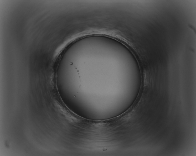 X0000101451502200807141232