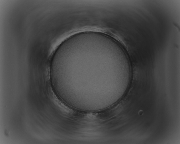 X0000101451504200807141232