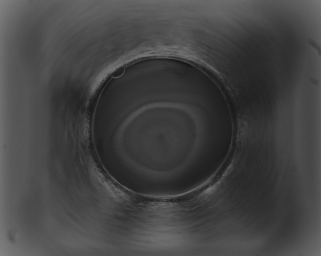 X0000101451506200807141232