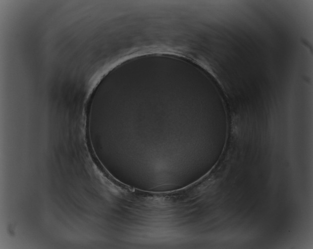 X0000101451508200807141232