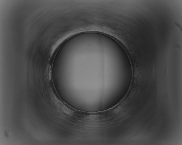 X0000101451510200807141232