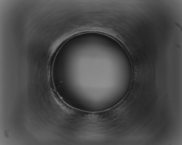 X0000101451511200807141232