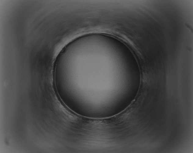 X0000101451512200807141232