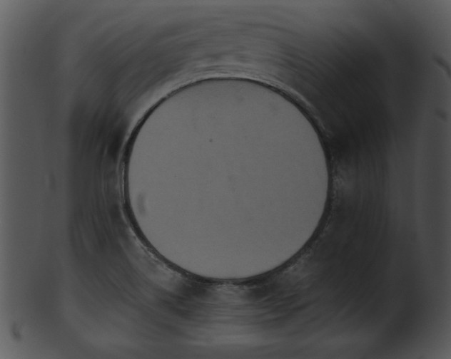 X0000101451514200807141232