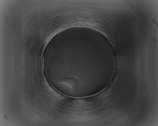 X0000101451515200807141232