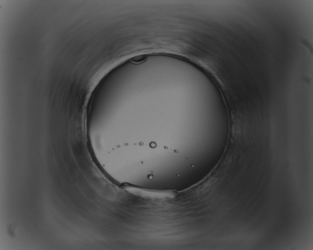 X0000101451516200807141232