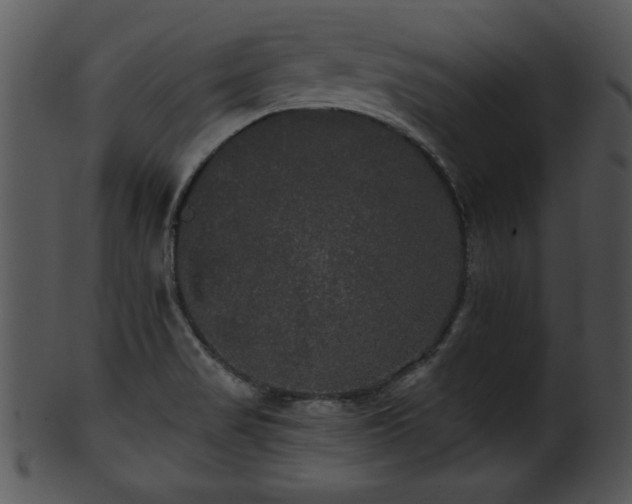 X0000101451517200807141232