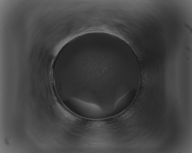 X0000101451519200807141232