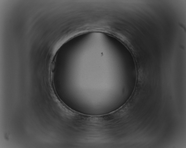 X0000101451520200807141232