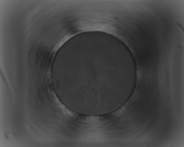 X0000101451521200807141232